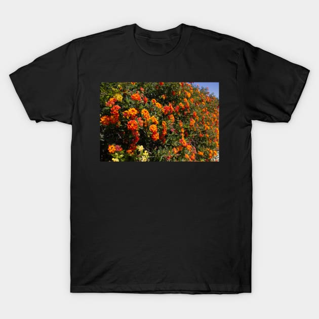 Flowers Lantana T-Shirt by redneckpoet